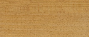 Vzorek dřeviny - buk (bezbarvý)