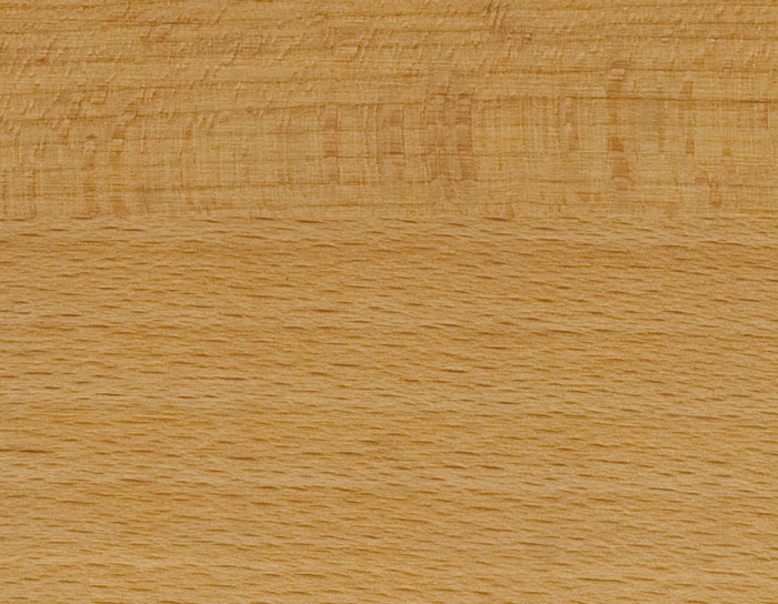 Vzorek dřeviny - buk (bezbarvý)